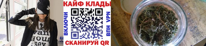 Где купить Зеленоградск СК KRAKEN tor ГАШИШ Марихуана Мефедрон